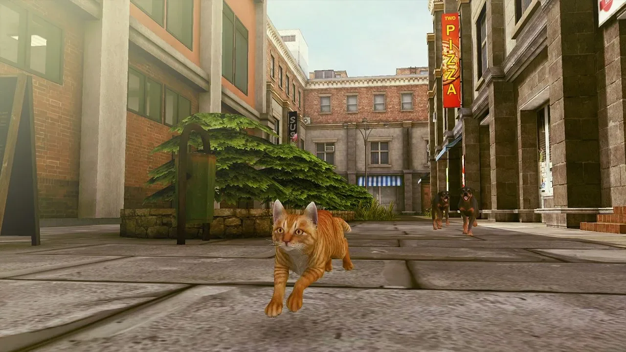 小猫大营救2.Little Strays 2 预览图 3