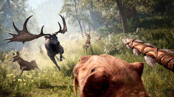 孤岛惊魂：野蛮纪源.Far Cry: Primal
