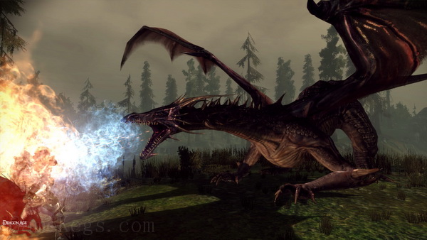 龙腾世纪：起源+觉醒 年度典藏版.Dragon Age: Origins