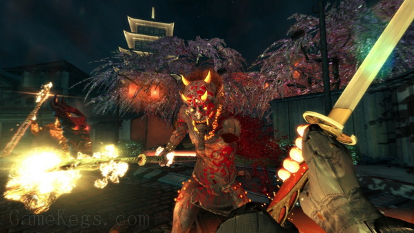 影子武士.Shadow Warrior