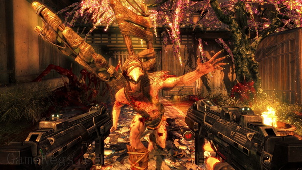 影子武士.Shadow Warrior