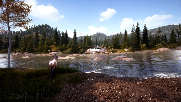 模拟狩猎2.Hunting Simulator 2