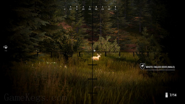 模拟狩猎2.Hunting Simulator 2