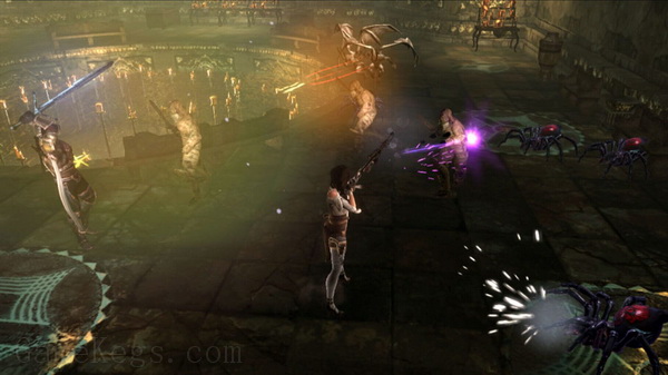 地牢围攻3：太阳的宝藏.Dungeon Siege III: Treasures of the Sun
