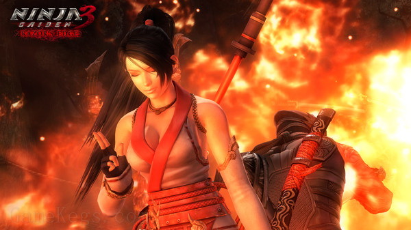 忍者龙剑传：大师收藏版.Ninja Gaiden: Master Collection