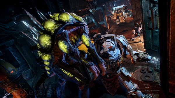 太空战舰：战术.Space Hulk Tactics