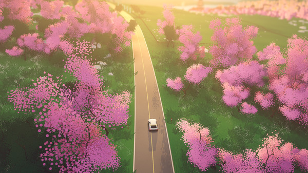 拉力赛艺术：豪华版.Art of Rally: Deluxe Edition