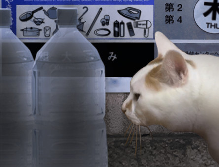 翌日.Tsugunohi