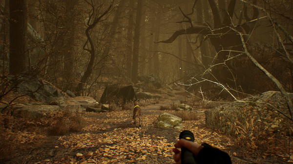 布莱尔女巫：虚拟现实版.Blair Witch VR Edition