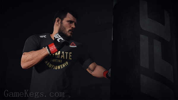 EA UFC 终极格斗冠军赛3.EA Sports UFC 3