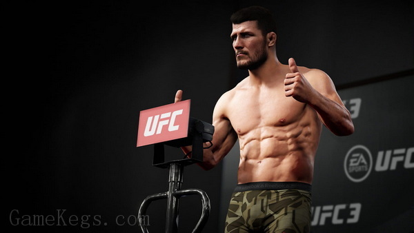 EA UFC 终极格斗冠军赛3.EA Sports UFC 3