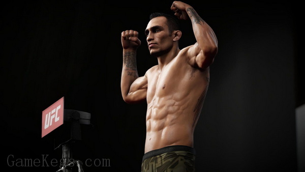 EA UFC 终极格斗冠军赛3.EA Sports UFC 3
