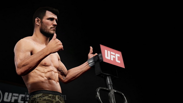 EA UFC 终极格斗冠军赛3.EA Sports UFC 3