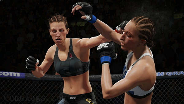 EA UFC 终极格斗冠军赛2.EA Sports UFC 2