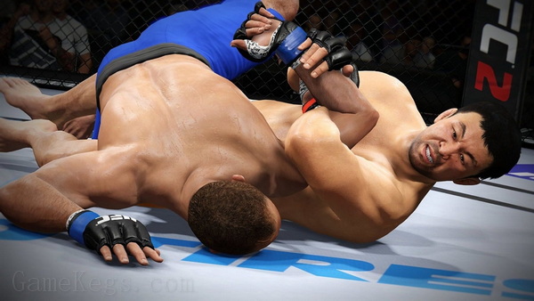 EA UFC 终极格斗冠军赛2.EA Sports UFC 2