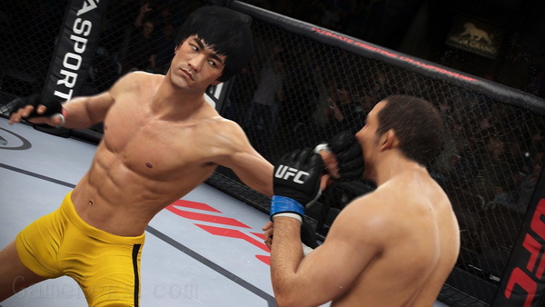 EA UFC 终极格斗冠军赛.EA Sports UFC