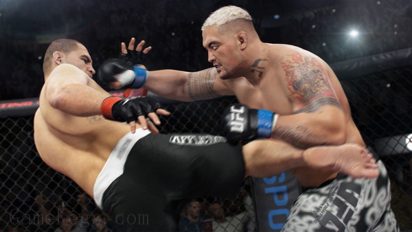 EA UFC 终极格斗冠军赛.EA Sports UFC