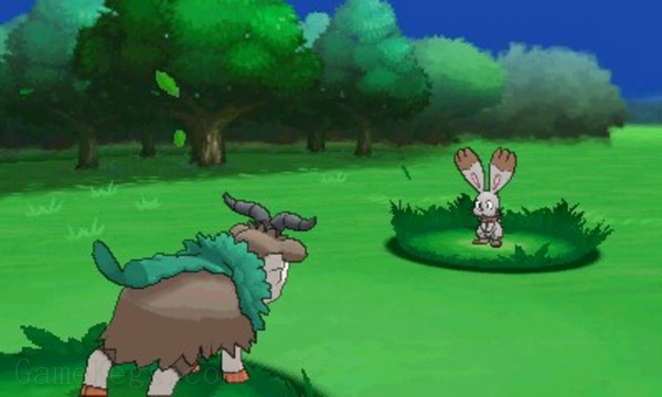 口袋妖怪Y.Pokemon Y
