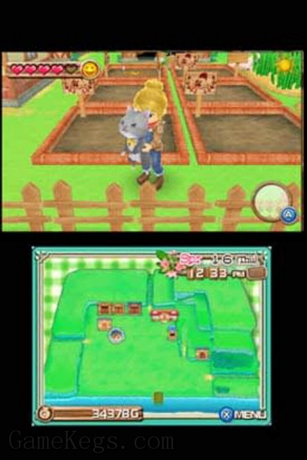 牧场物语3D：新的开始.Harvest Moon 3D: A New Beginning