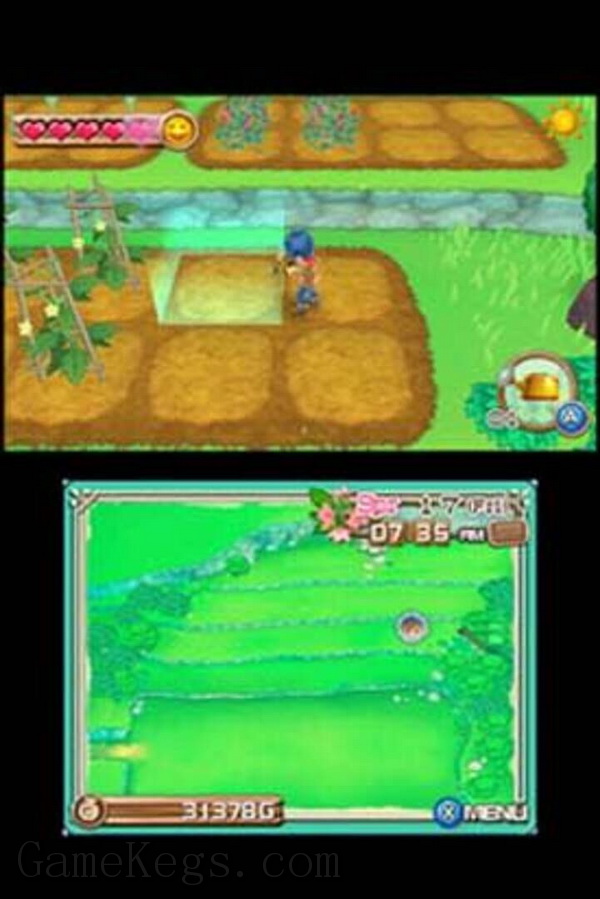 牧场物语3D：新的开始.Harvest Moon 3D: A New Beginning