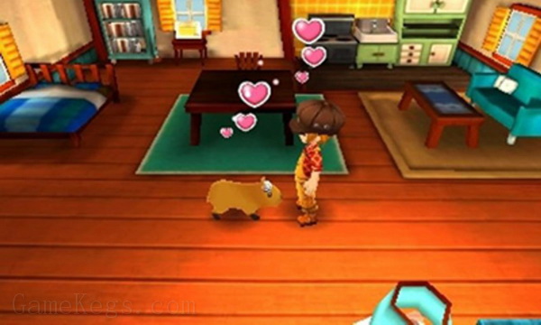 牧场物语：三个村庄的珍贵朋友.Story of Seasons: Trio of Towns
