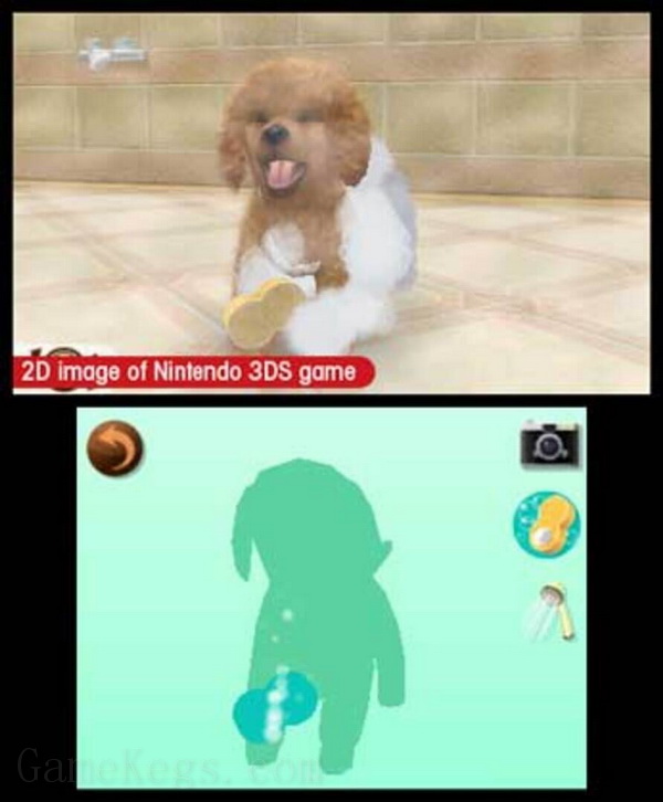 任天猫狗 玩具贵宾犬与新伙伴.Nintendogs + Cats – Toy Poodle & New Friends