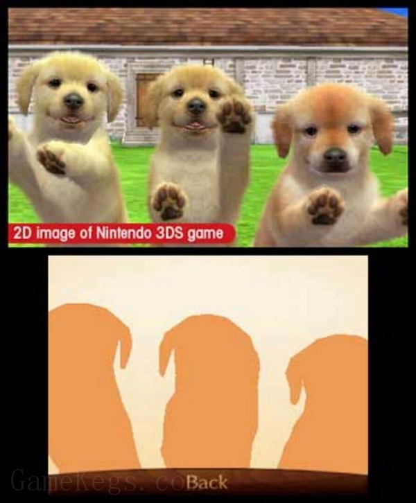 任天猫狗 玩具贵宾犬与新伙伴.Nintendogs + Cats – Toy Poodle & New Friends