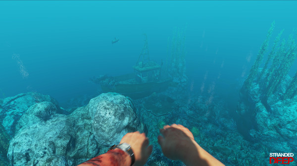 荒岛求生.Stranded Deep
