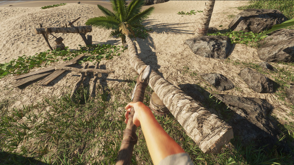 荒岛求生.Stranded Deep