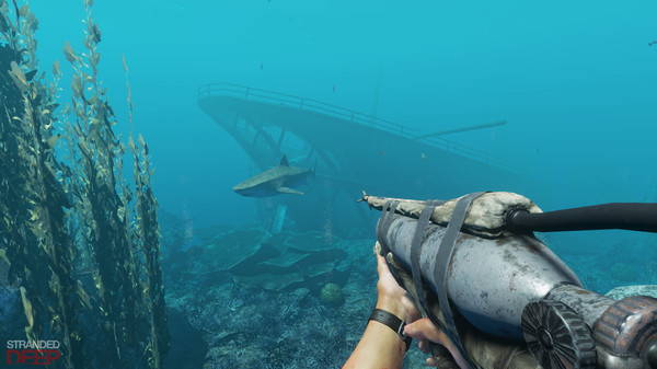 荒岛求生.Stranded Deep