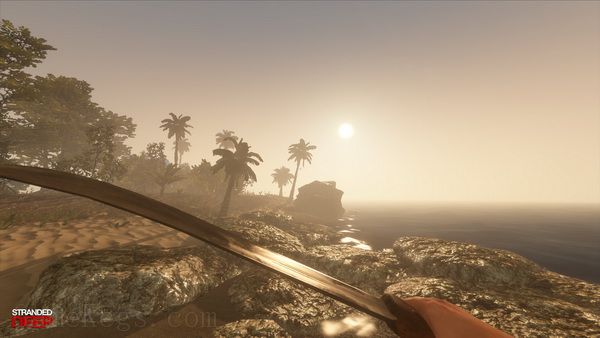 荒岛求生.Stranded Deep