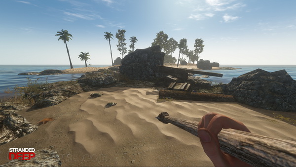 荒岛求生.Stranded Deep