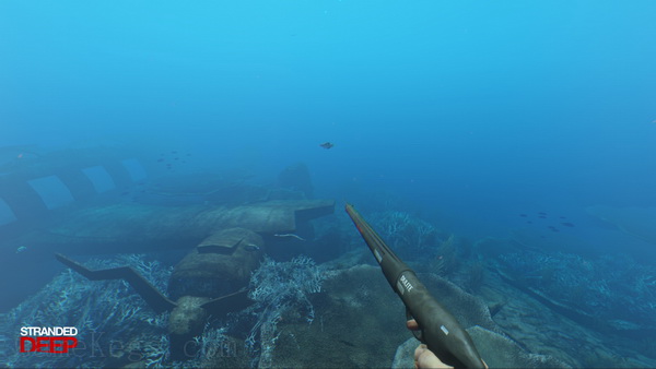 荒岛求生.Stranded Deep