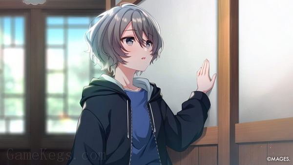 SINce Memories：星穹之下.SINce Memories Off the starry sky