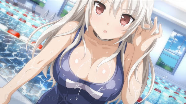 樱花游泳部.Sakura Swim Club