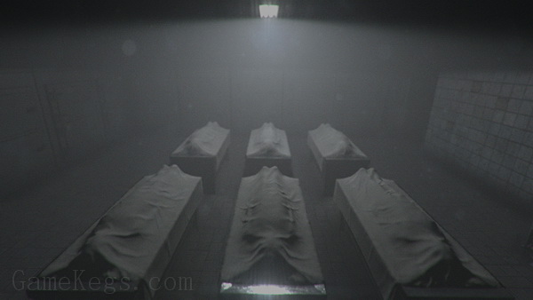 S.W.A.N.：切尔诺贝利未勘之地.S.W.A.N.: Chernobyl Unexplored