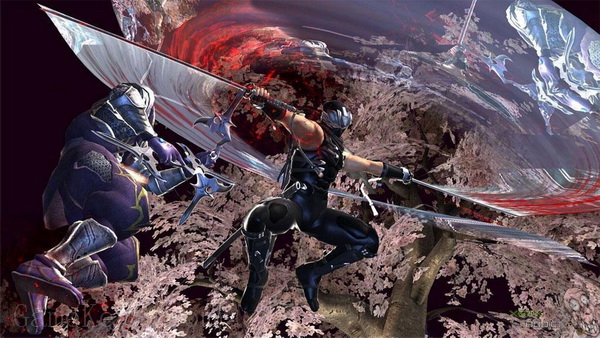 忍者龙剑传2.Ninja Gaiden II