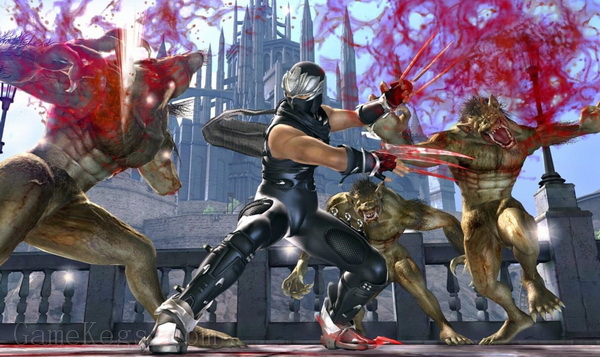 忍者龙剑传2.Ninja Gaiden II