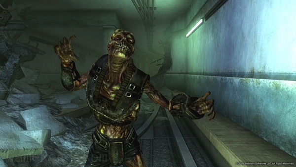 辐射3：年度版.Fallout 3: Game of the Year Edition