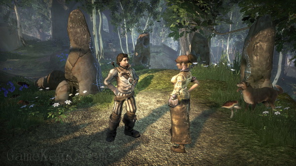 神鬼寓言2.Fable II