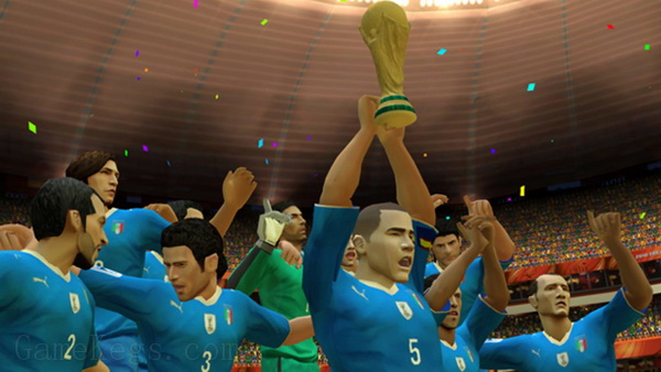 FIFA世界杯足球赛2010南非.2010 FIFA World Cup South Africa