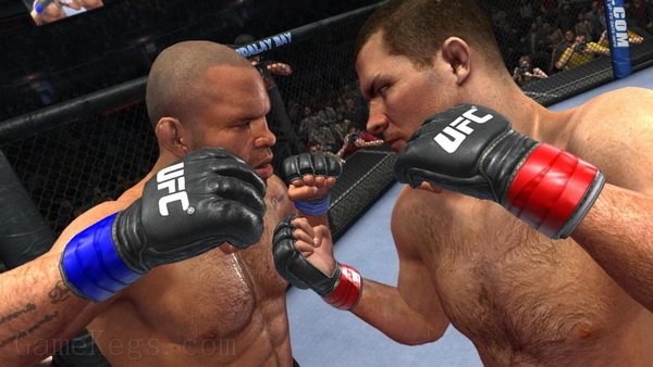 UFC终极格斗冠军赛2010.UFC Undisputed 2010