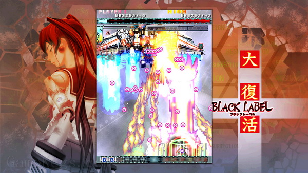 怒首领蜂大复活.Dodonpachi Resurrection