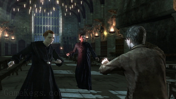 哈利波特与死亡圣器DS：第二部.Harry Potter and the Deathly Hallows: Part 2