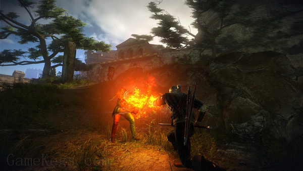 巫师2：国王刺客.The Witcher 2 Assassins Of Kings