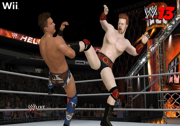 美国职业摔角大赛13.WWE 13
