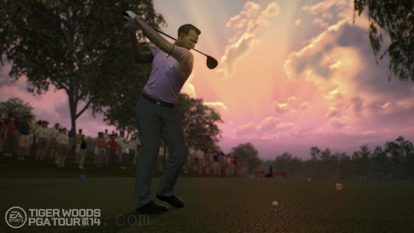 泰戈伍兹高尔夫巡回赛14.Tiger Woods PGA Tour 14