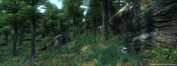 上古卷轴4：湮没.The Elder Scrolls IV: Oblivion