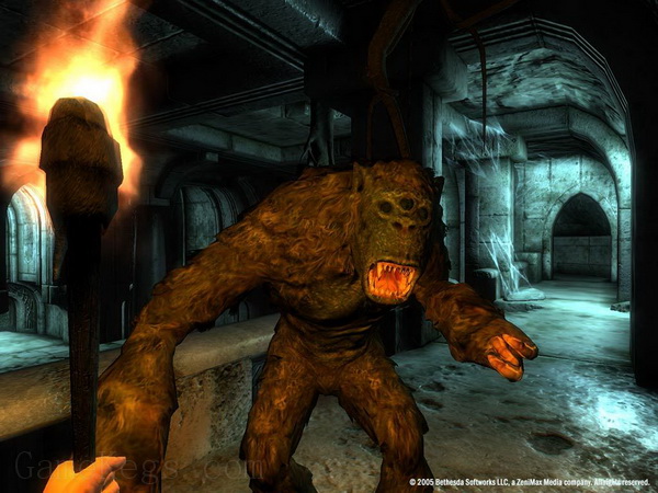 上古卷轴4：湮没.The Elder Scrolls IV: Oblivion