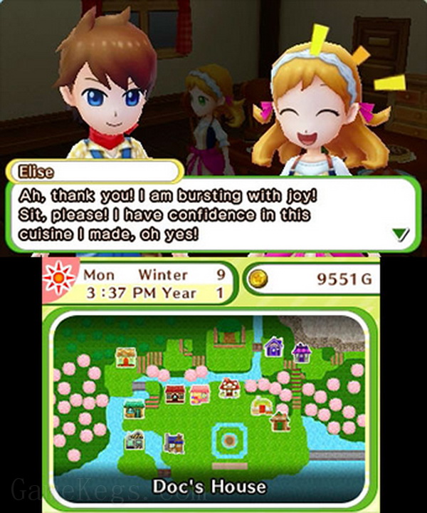 牧场物语：天空树村.Harvest Moon: Skytree Village